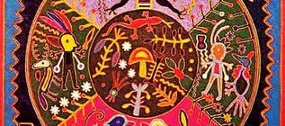 Exploration of Consciousness