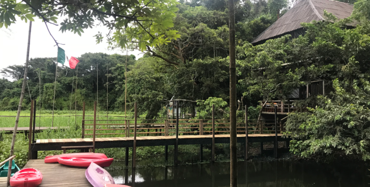 Etnotherapeutic Retreats, Workshops and Seminars in Mexico, 2025